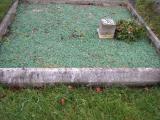 image of grave number 363545